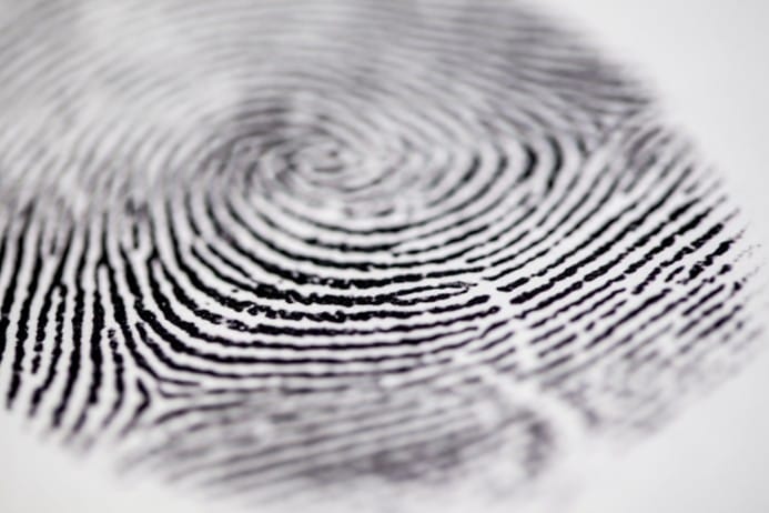 Are your fingerprints on these?